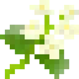 水芥